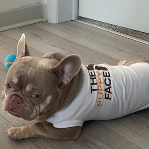 French bulldog wearing The Puppy Face Dog T-shirt.