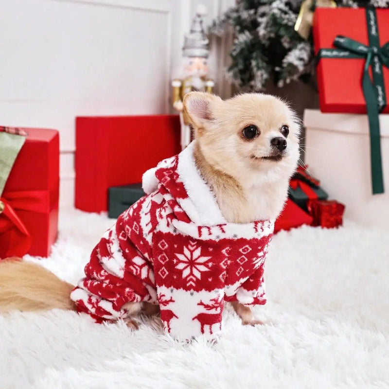 Small dog wearing a red and white Christmas sweater in front of a decorated Christmas tree and presents.