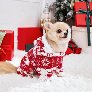 Small dog wearing a red and white Christmas sweater in front of a decorated Christmas tree and presents.