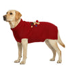 A light-colored Labrador Retriever wearing a red Rudolph reindeer sweater.