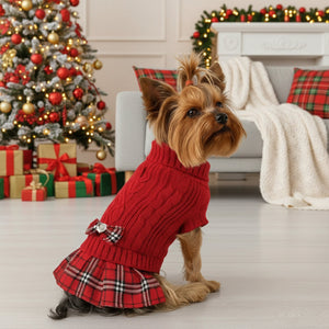 Dog wearing a red sweater with plaid skirt in front of a Christmas tree
