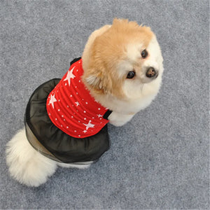 Red stars dog dress fits small breeds, like this Pomeranian.