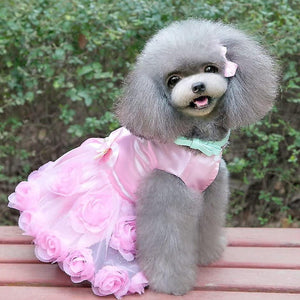 Toy Poodle wearing Elegant Roses Dog Party Dress in pink.