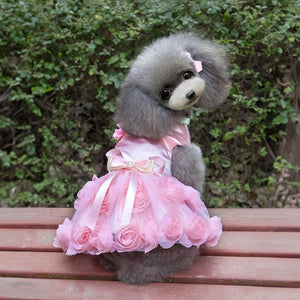 Toy Poodle wearing Elegant Roses Dog Party Dress in pink.