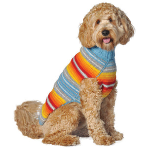 Dog wearing a colorful striped sweater on a white background