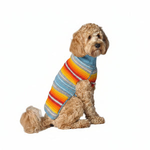 Dog wearing a colorful striped sweater 