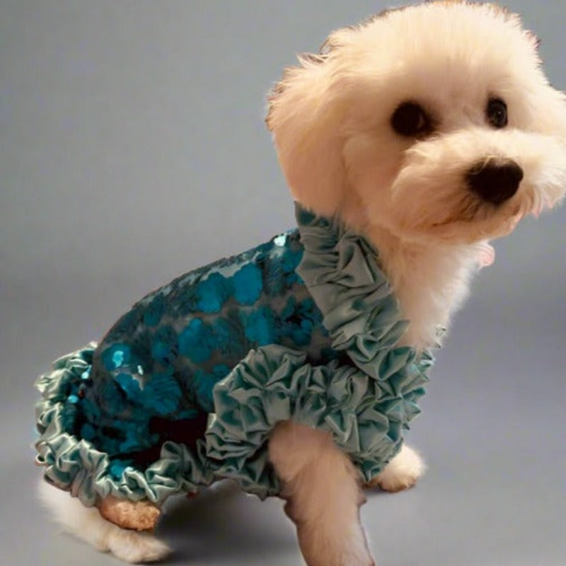 blue dog dress Frilly for Dogs polka dot leash to match C'Mimi Designer Blue Shimmering Dog