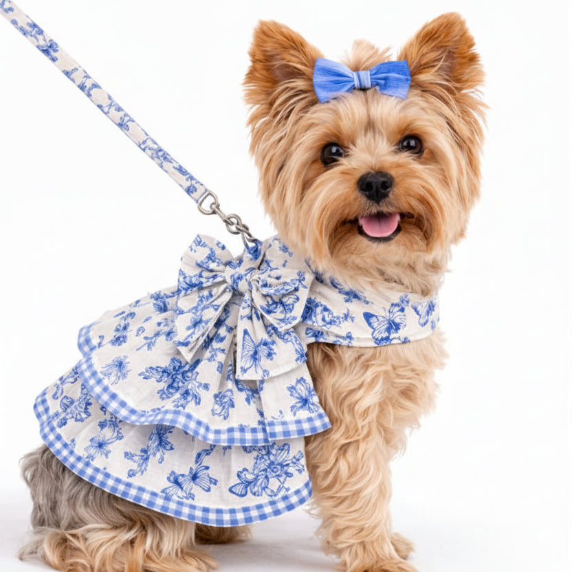 Dog wearing a blue and white floral dress with a bow on a white background