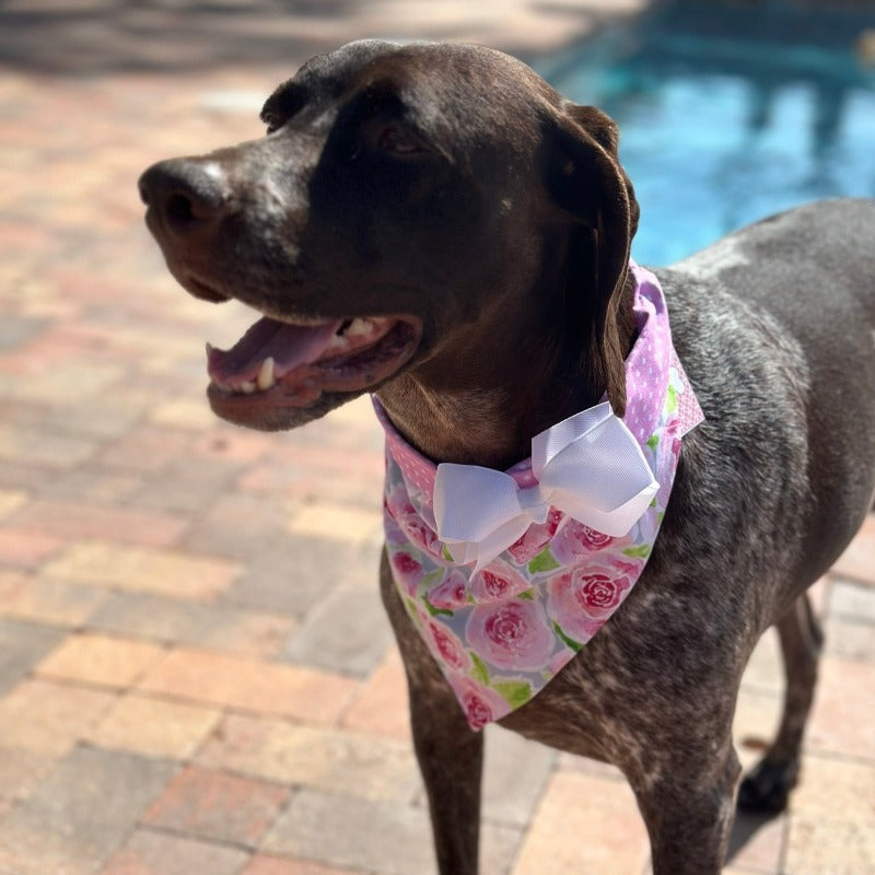 Handmade in the USA by Chloe & Max, this Rose Bandana Collar features pink roses on greyish blue background, with pink polka dot trim and backing