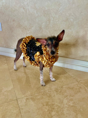This luxurious couture "Cleopatra" dog dress fits all sizes and is a wonderful addition to your dog’s wardrobe for special occasions including holiday parties, weddings, anniversaries and photoshoots.
