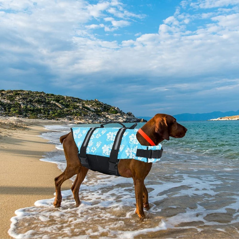 Our life jackets are suitable for small, medium and large dogs.