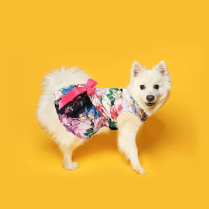 Black Floral Dog Party Dress is perfect for weddings, parties and special occassions for small - to  medium-size dogs.