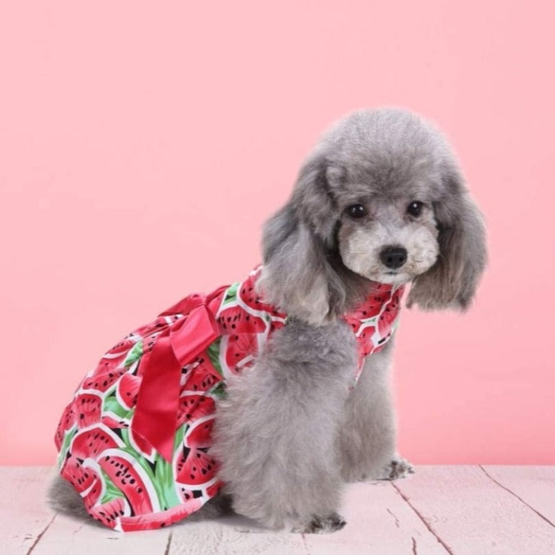 Simply delicious, this refreshing Watermelon Dog Party Dress will look fabulous on your puppy princess this summer. 