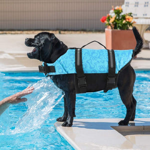 Dog life jackets help to provide safety in the swimming pool.
