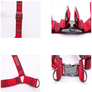 Harness set features stainless-steel claps and 2 heavy-duty D-rings.