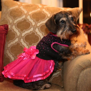 Perfect for weddings, birthdays and other special occasions, this festive Flamenco dog dress is suitable for small dogs. 