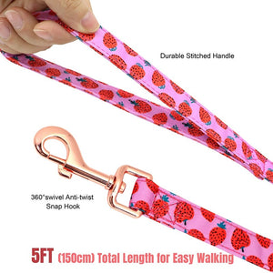 Strawberry Harness sets includes a matching 5 ft leash.