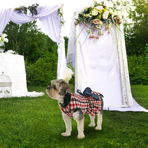 Pretty Plaid Dog Party Dress is perfect for weddings, birthday and anniverary celebrations.