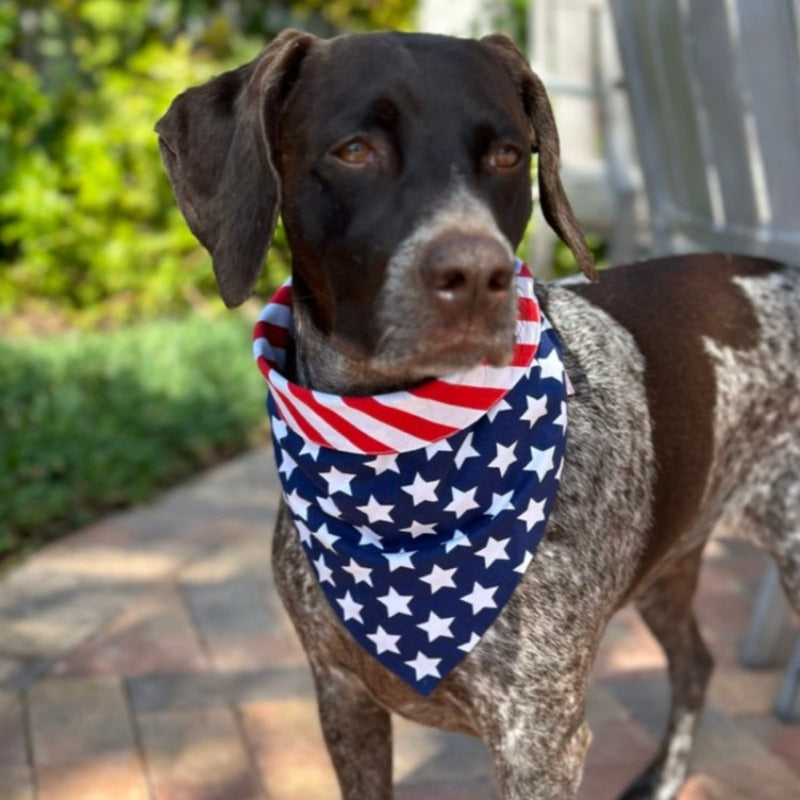 Handmade in the USA by Chloe & Max, this American Flag Bandana Dog Collar features white stars on blue, with red and white stripes trim and backing. 