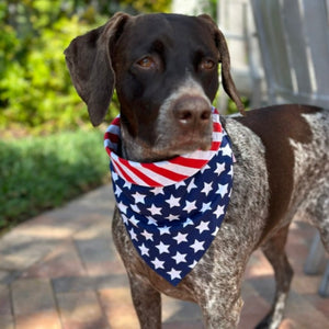 This American Flag Bandana Dog Collar has five sizes for XL-XL dogs.