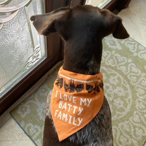 German Shorthaired Pointer wearing a Halloween Reversible Dog Collar Bandana-I Love My Batty Family in white lettering on orange fabric with black bats.