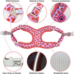 Strawberry Harness is reflective for safety at night.