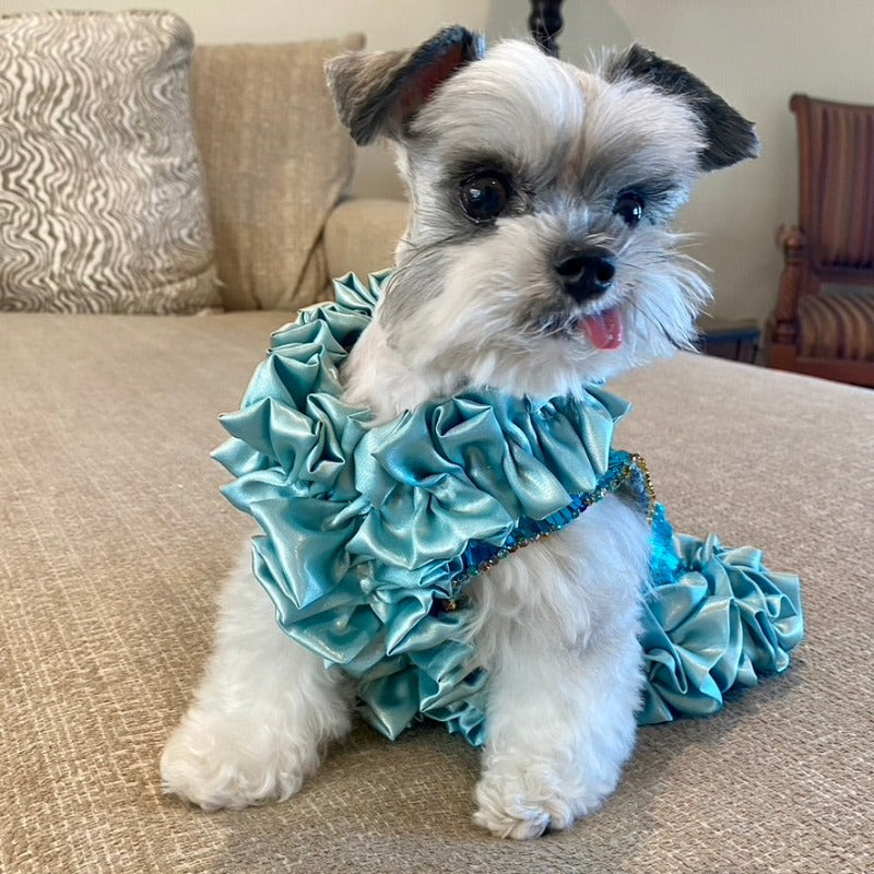 Designed exclusively for Posh Dog Life, this handmade “Ariel” couture dog party dress is exquisitely crafted by C’Mimi’s world-renowned pet fashion Designer Jan Ben with glittering aqua rectangular sequins, a light blue satin ruffle neck, midline and skirt, and a gorgeous multicolored rhinestone trim on the sleeves.