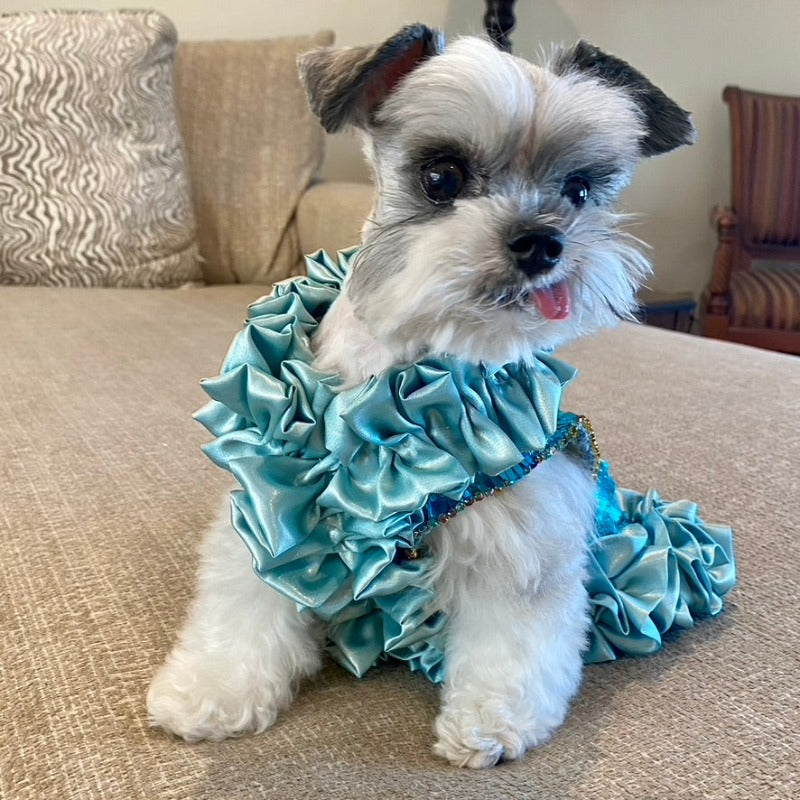 C'Mimi Designer Blue Shimmering Dog Party Dress | Poshdoglife.com - Posh Dog Life C'Mimi Designer Blue Shimmering Dog Party Dress | Poshdoglife.com - Posh Dog Life