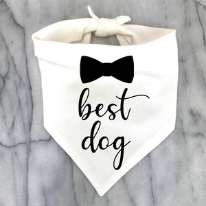 Best Dog Bandana supports the groom.