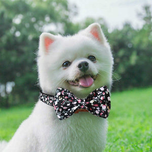 Bow ties are detachable and washable.