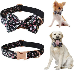 Small, medium and large dogs look posh in these bow tie collar and leash matching sets.