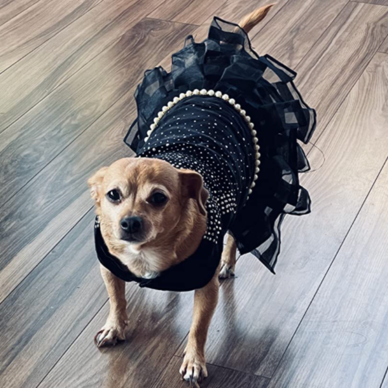 Dog Wedding Dress | Dog Party Dress | Poshdoglife.com - Posh Dog Life Dog Wedding Dress | Dog Party Dress | Poshdoglife.com - Posh Dog Life