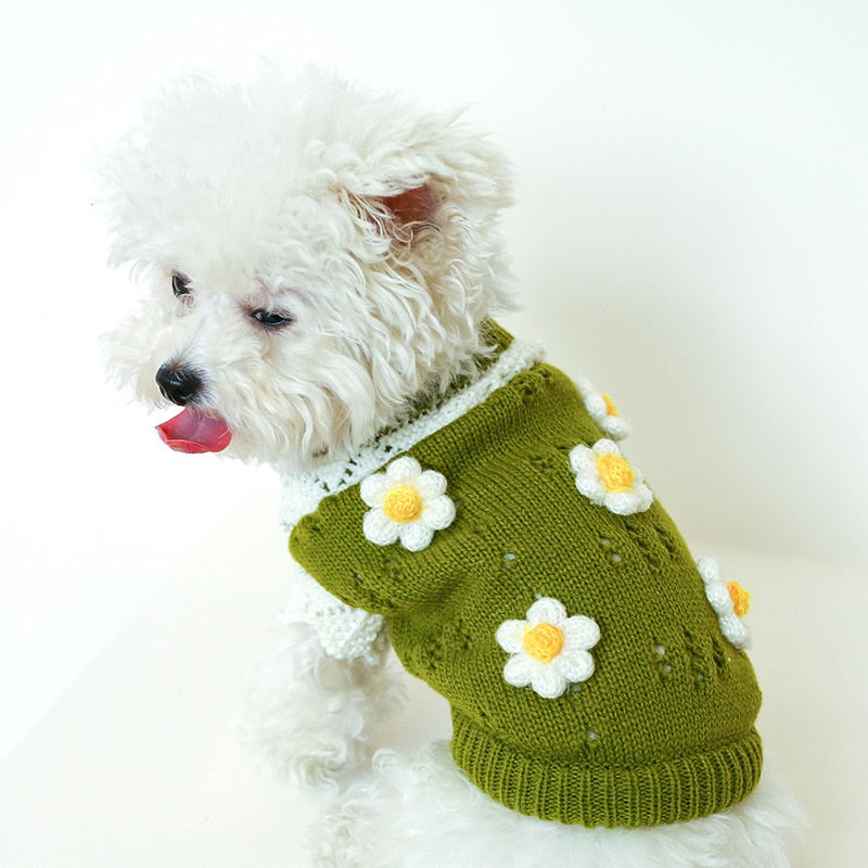Blossoming Floral Dog Sweater | Poshdoglife.com - Posh Dog Life