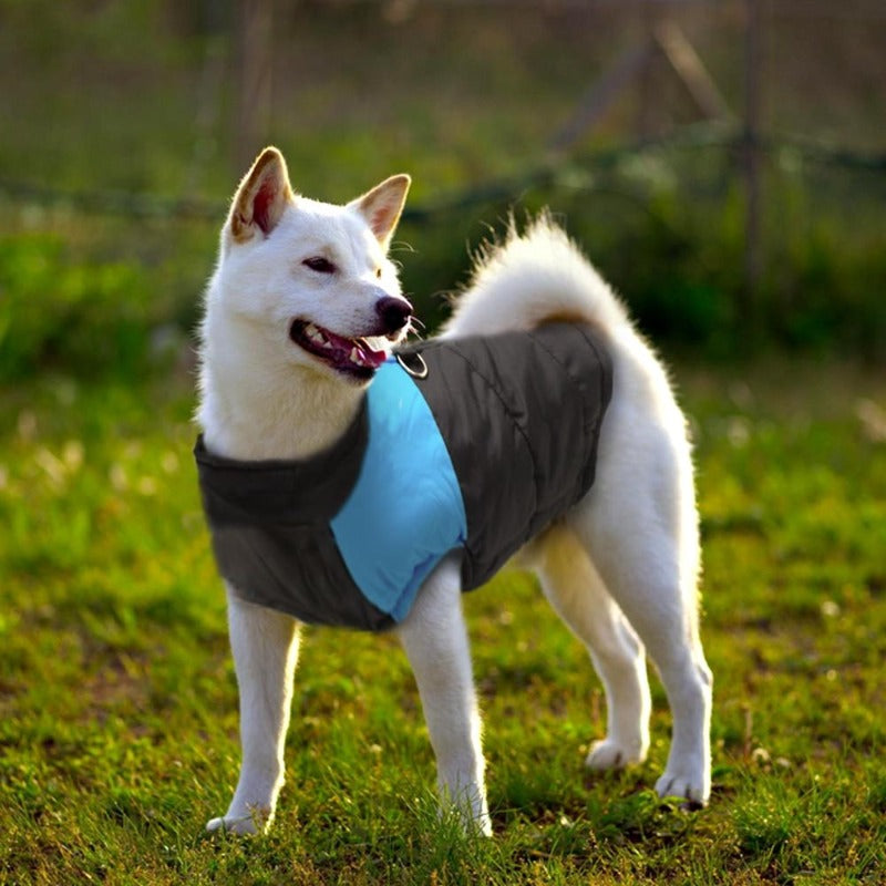 Your large pal will be ready to hit the slopes this winter wearing this Big Buddy Waterproof Puffer Dog Vest, both quilted and padded for comfort.