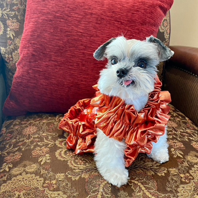 A real stunner, this dress is on fire! Designed exclusively for Posh Dog Life, this handmade “Cayenne” burnt orange dog party dress is exquisitely crafted by C’Mimi’s world-renowned pet fashion Designer Jan Ben.