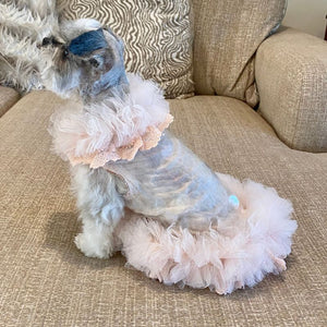 This handmade “Baby Doll” pink dog party dress is exquisitely crafted by C’Mimi’s world-renowned pet fashion Designer Jan Ben with the finest details, including shimmering pink circles, dainty pink ruffle tulle and elegant rhinestone sleeve trim.