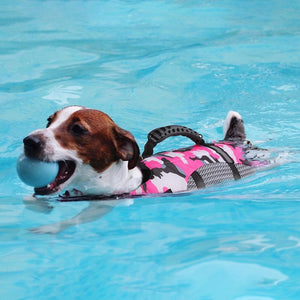 Dog life jackets help to provide safety in the swimming pool.