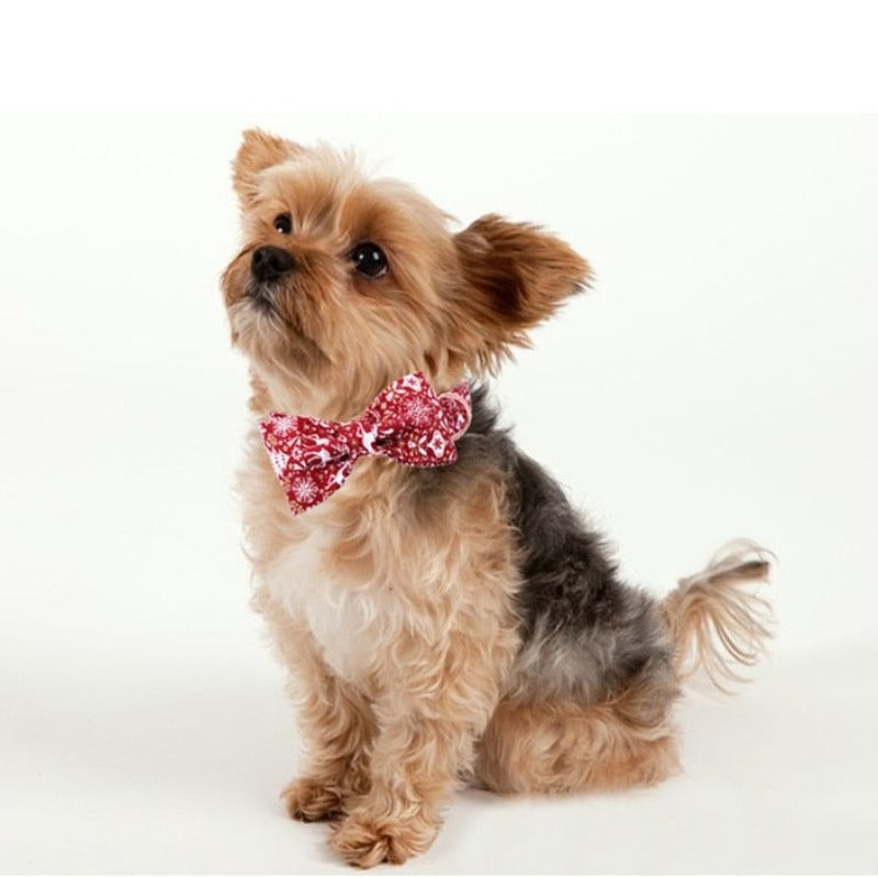 Red Christmas Reindeer Bow Tie Dog Collar & Leash | Personalized Free