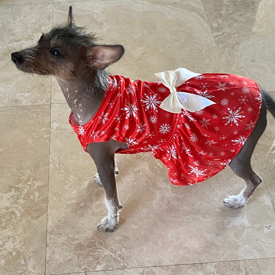 Perfect for holiday parties, this red Christmas Snowflake Dog Party Dress features white snowflakes and a white satin bow for small to medium dogs.
