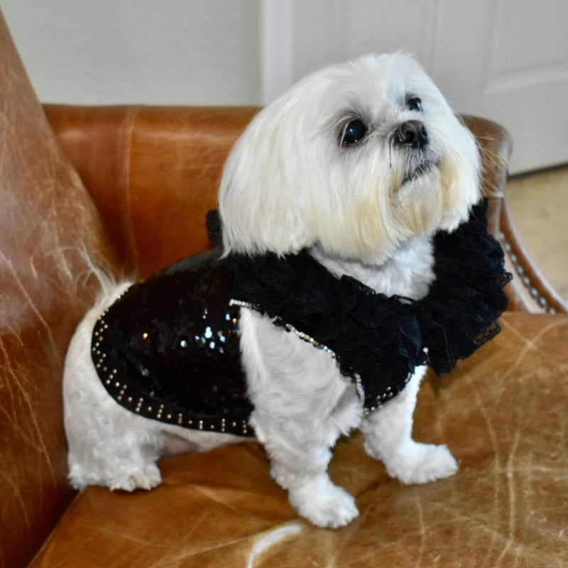 Designed exclusively for Posh Dog Life, this handmade “Elektra” dress is exquisitely crafted by C’Mimi’s world-renowned pet fashion Designer Jan Ben with the finest details.