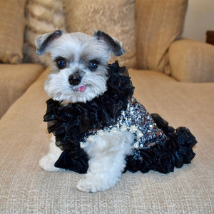 Toy Schnauzer wearing this bling Studio 54 Dog Party Dress. 