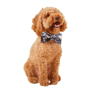 Small, medium and large dogs look posh in these bow tie collar and leash matching sets.