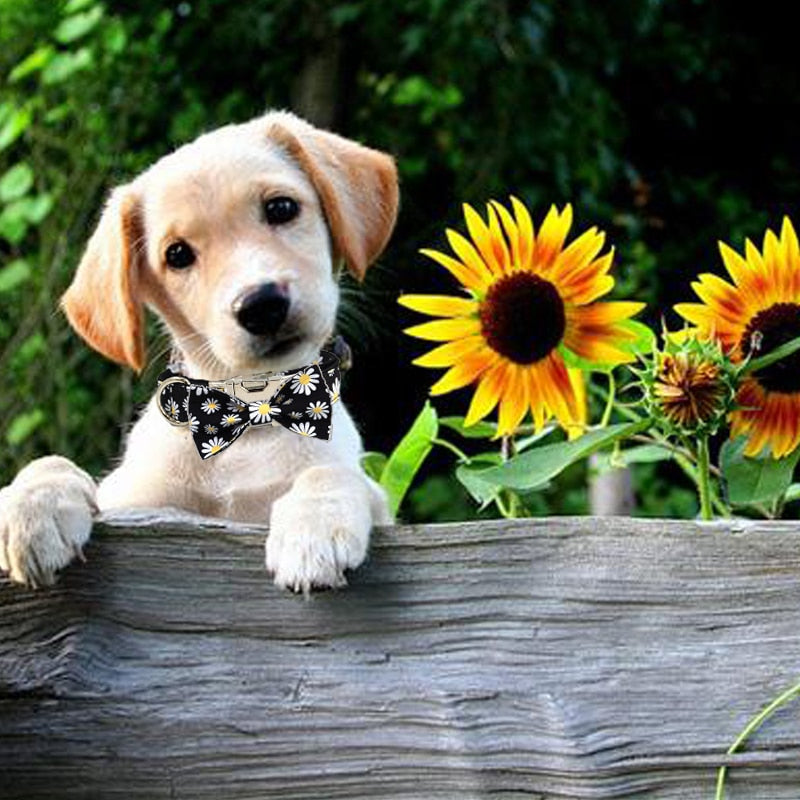 Daisy Bow Tie Dog Collar & Leash Set