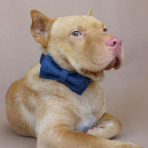 Bow ties are detachable and washable.