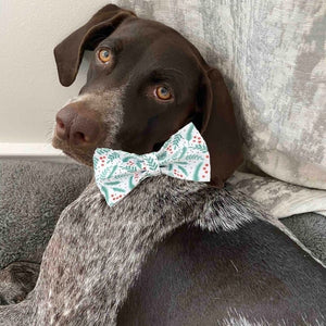 Small, medium and large dogs look posh in these bow tie collar and leash matching sets.