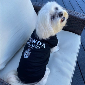 "Pawda" Dog T-Shirt fits small, medium and large dogs. Logo on back.