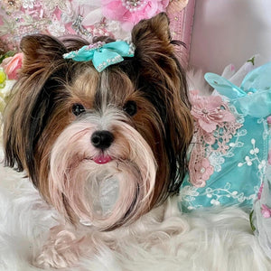 Lila Tule Party Dress fits small dogs like this Yorkie.