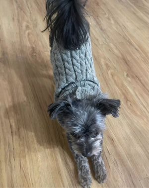 Gray Cable Knit Turtleneck Dog Sweater on Terrier