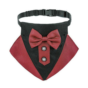 Red Tuxedo Bow Tie Buckle Dog collar