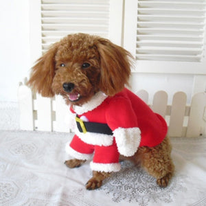 This Santa Dog Suit fits small to medium dog breeds like Toy Poodle.